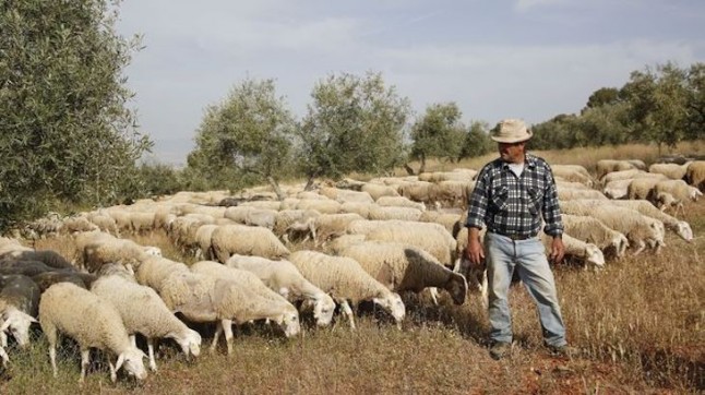 El Plan de Ganadería Extensiva de Andalucía busca la sostenibilidad