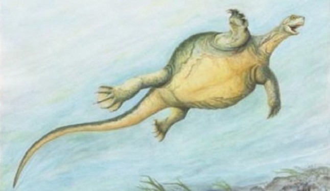 Descubren una especie extinta de tortuga sin caparazón