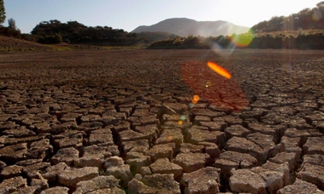 Ecologistas destaca la importancia de los humedales como "eficaces paliativos" de los efectos del cambio climático