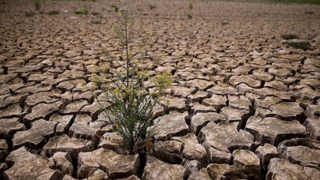 La FEMP aboga por un nuevo planteamiento ante las sequías asociadas al cambio climático