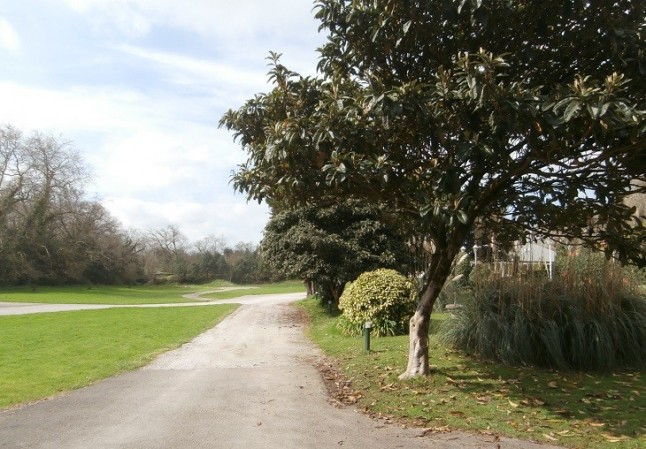 El peligro para el futuro del banco de Germoplasma del Jardín Botánico Atlántico de Gijón