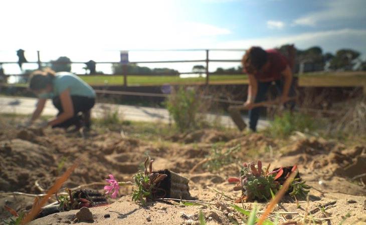 El ‘PARADOR DE EL SALER’ implementa un semillero de especies en peligro de extinción ‘referente’ en España