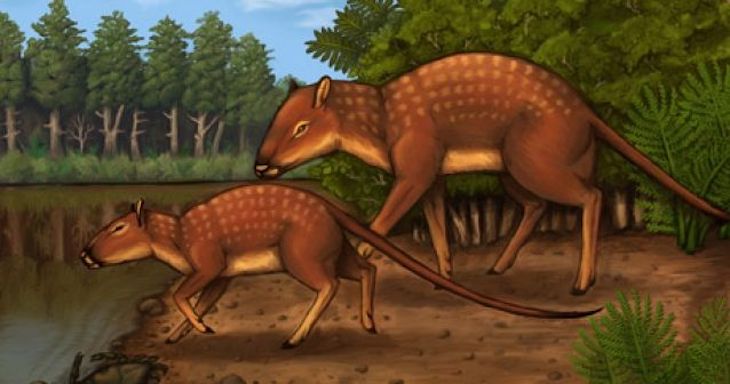 Fósiles sitúan en la India el origen de los mamíferos ungulados