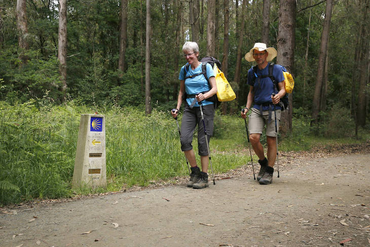 Los EcoPeregrinos reciclaron un 7