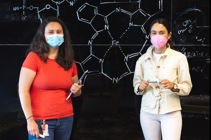 CIC energiGUNE: Proyecto ‘BioAirBat’