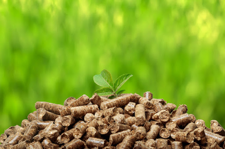 Extremadura aportará fondos para la construcción de tres fábricas de pellets