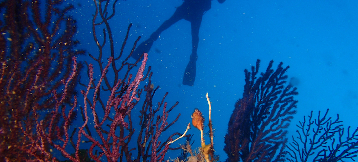 Fundación Biodiversidad