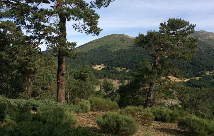 Ribera pone la expropiación de Cotos dictada por Ruiz-Gallardón como "ejemplo" de restauración ambiental en Navacerrada