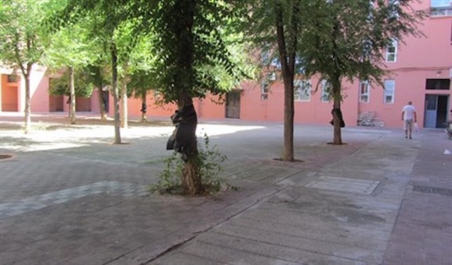 Los ecologistas de Alcalá critican la tala de 24 olmos en las obras de la plaza de los pisos rosa