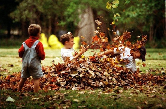 La salud ambiental de la infancia en España no está garantizada