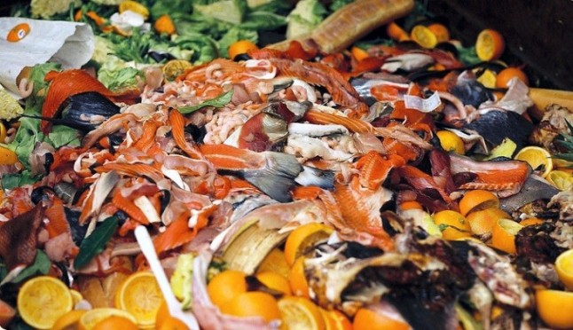 Aprueban la estrategia sobre la gestión de los biorresiduos en Castilla – La Mancha