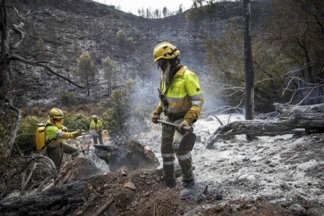La Generalitat Valenciana crea la sociedad de gestión de emergencias que subrogará a los bomberos forestales de Tragsa