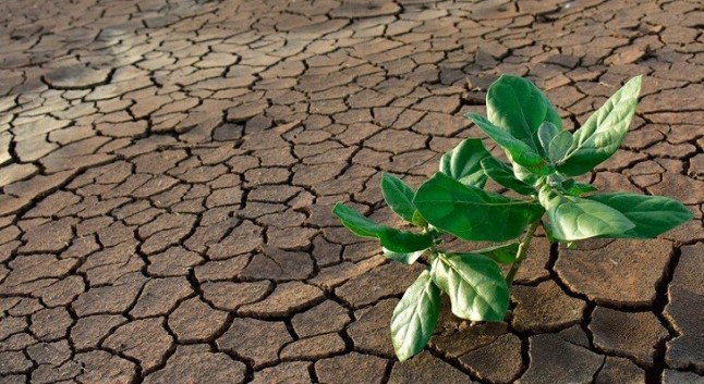 Shell ‘se cubre de gloria’ con el cambio climático