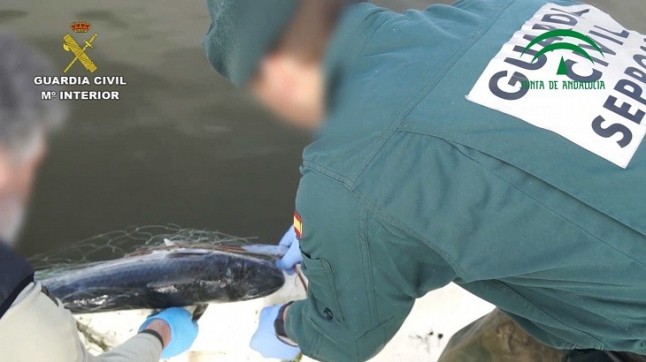 Dos personas sorprendidas con 30 kilos de pescado en el Paraje Natural Marismas del Odiel