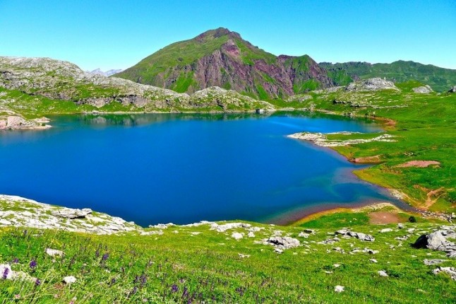 Descubren novedosas formas de vida parasitaria en lagos de los Pirineos