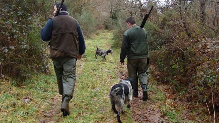Castilla y León rectifica y retira las autorizaciones excepcionales a la caza