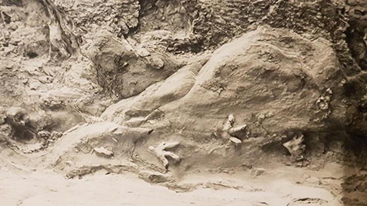 Solución al enigma de las huellas de dinosaurio en el techo de una cueva