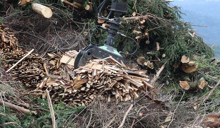 Cantabria se lanza a extraer biomasa forestal residual
