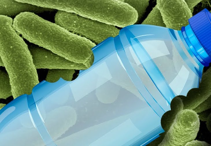 Hay una bacteria capaz de degradar el resistente y nocivo poliuretano