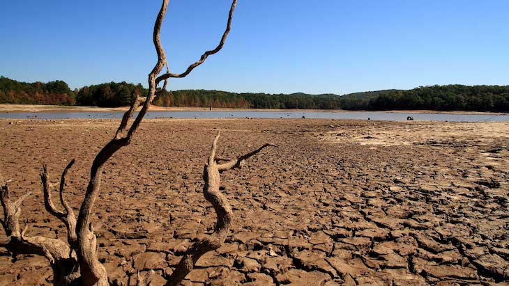 El colectivo educativo de Madrid en busca del cambio climático
