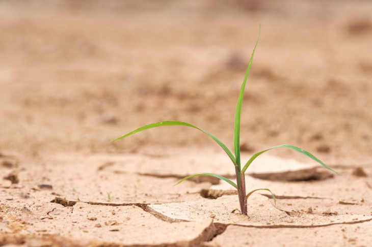 UP recuerda que la lucha contra el cambio climático no puede esperar