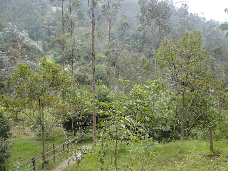 La ‘Comunidad de Madrid’ habilitará con fondos europeos dos docenas de corredores ambientales