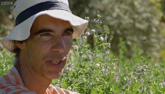 Constantí Stefanescu recibe el premio ’2018 Marsh Lepidoptera Award’