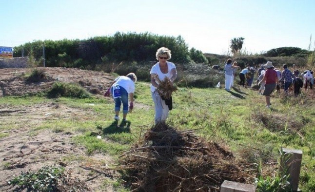 Retiran 36 toneladas de especies vegetales exóticas en lAlbufera durante 2018