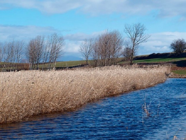 La preocupante pérdida de diversidad biológica en La Rioja