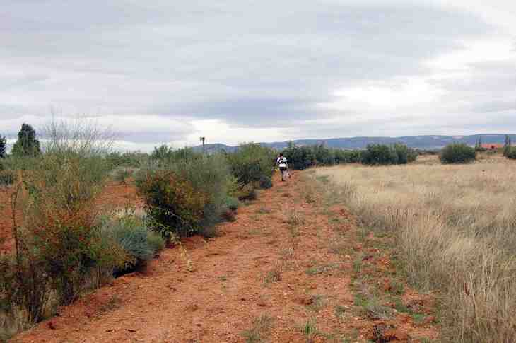 AgreTTos: ayuda online para crear setos en cultivos agrícolas mediterráneos