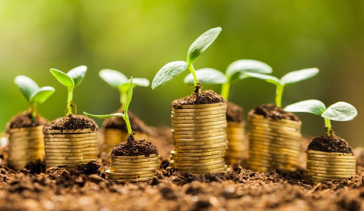 Transición ecológica. El MITECO