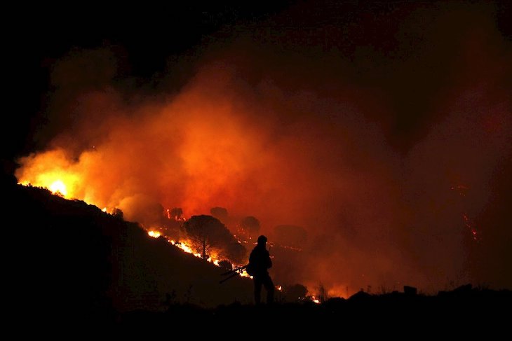 Controlado un incendio forestal en Marbella que ha afectado a unas seis hectáreas de matorral