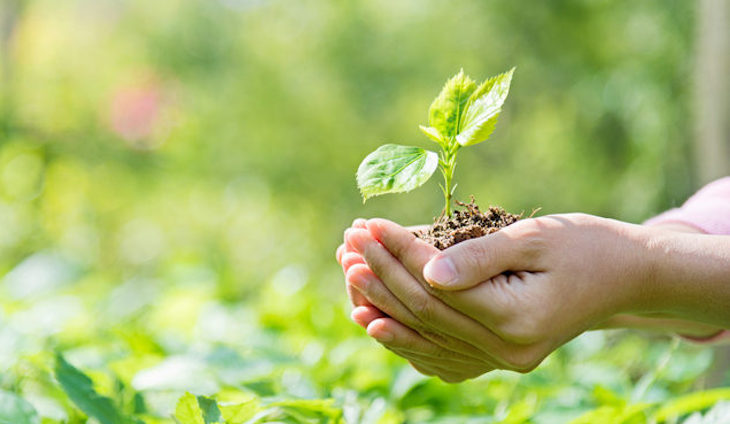 Euskadi asume la presidencia de la Red Internacional de Gobiernos Regionales por el Desarrollo Sostenible-Regions4