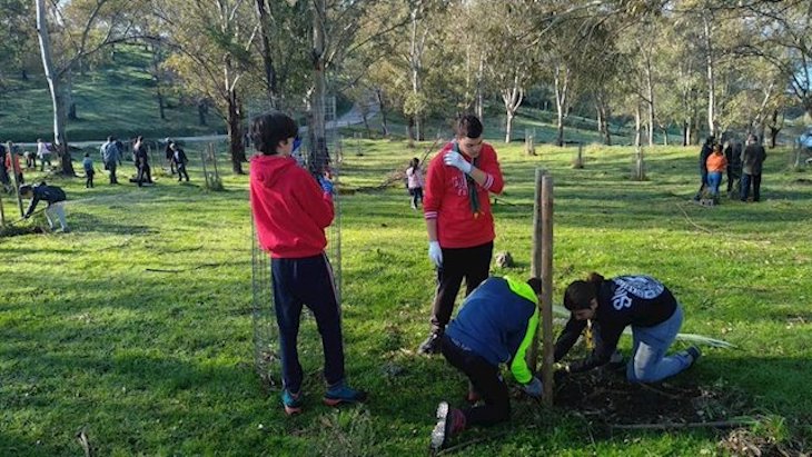 Más de 100 voluntarios del programa Plantabosques siembran 400 árboles en Ambroz y Tierras de Granadilla