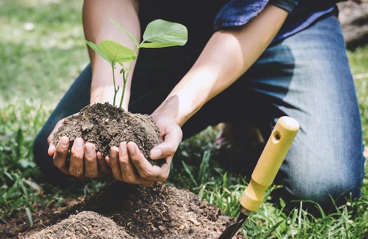 México en la primera línea de acción para reconciliarnos con la naturaleza