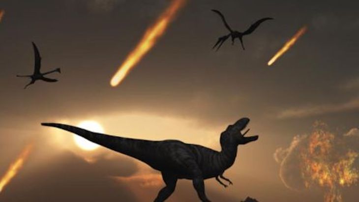 Algas aprendieron a cazar para sobrevivir al final de los dinosaurios