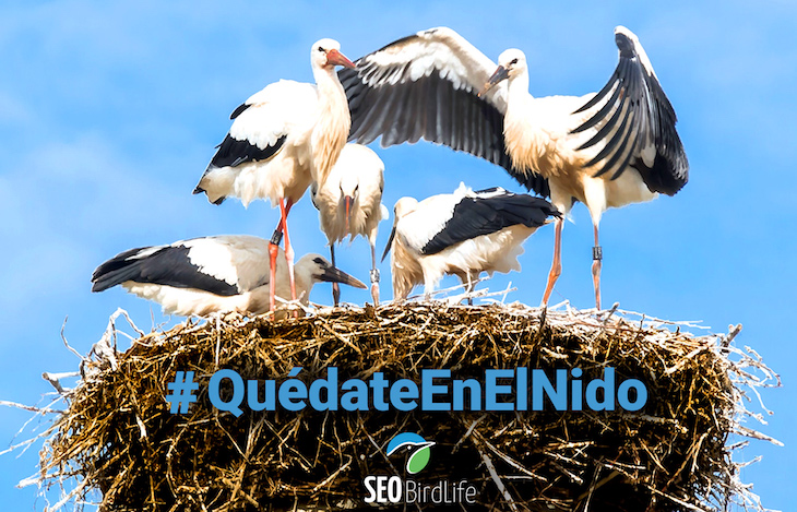 SEO/BirdLife entretiene en el confinamiento via naturaleza y diversas propuestas