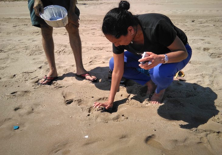 Tarragona. Alta concentración de microplásticos y fibras de poliéster en la costa