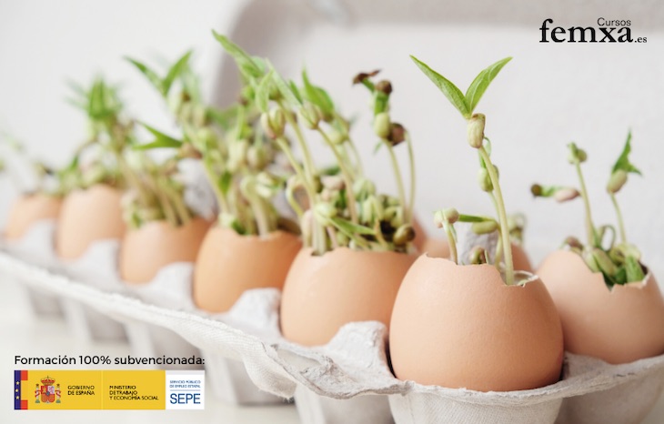 FEMXA te cuenta paso a paso como aplicar la ‘Economía Circular’ en tu día a día