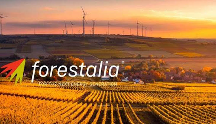 Forestalia recuerda que la ocupación de superficie para las energías renovables es “mínima