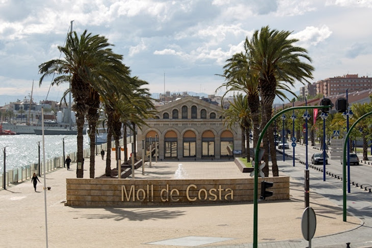 El Port de Tarragona ‘apuesta decididamente’ por la energía solar