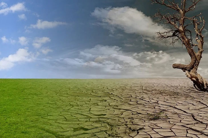 Neutralidad climática en 2050 para Europa