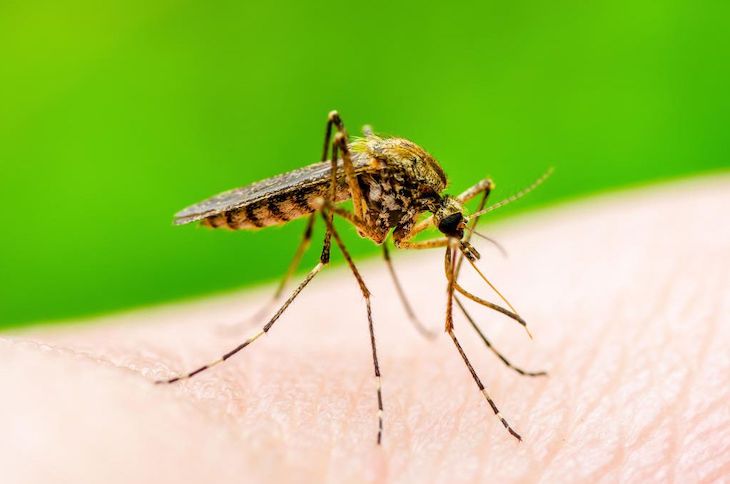 Calentamiento global