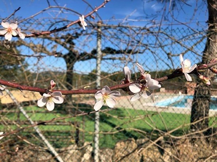 El Servei Meteorològic de Catalunya y la UAB estudiarán los efectos del cambio climático
