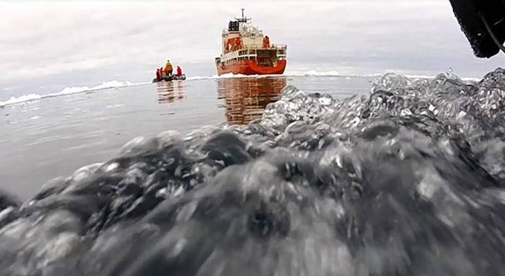 Predicen la emisión de un gas producido por el fitoplancton en el océano Antártico que altera el clima