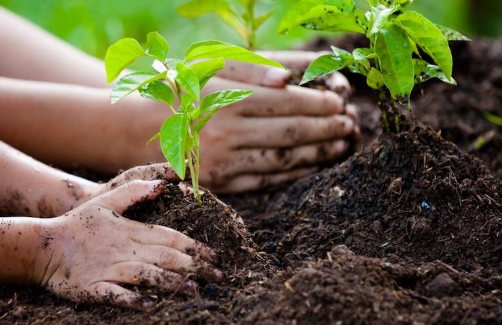 9 de cada 10 jóvenes consideran la educación ambiental un factor clave en la era post-Covid