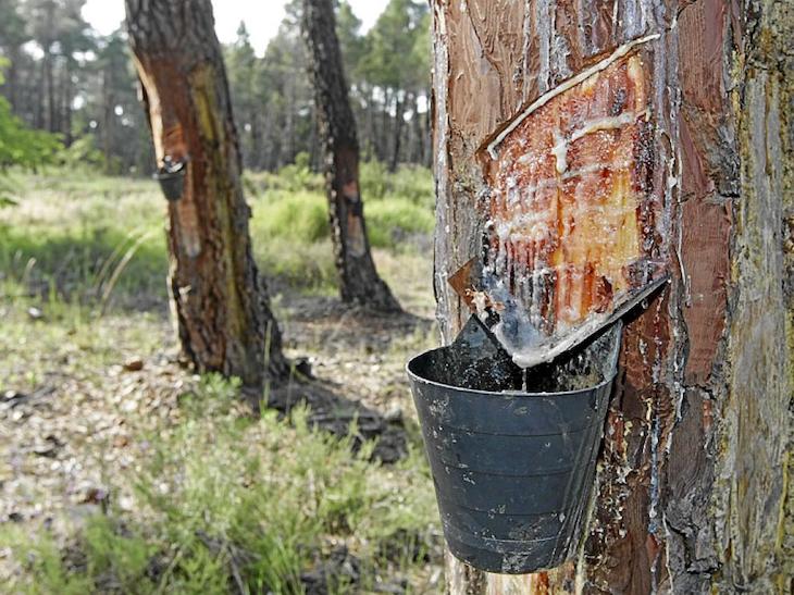 Revolucionando el sector de la resina