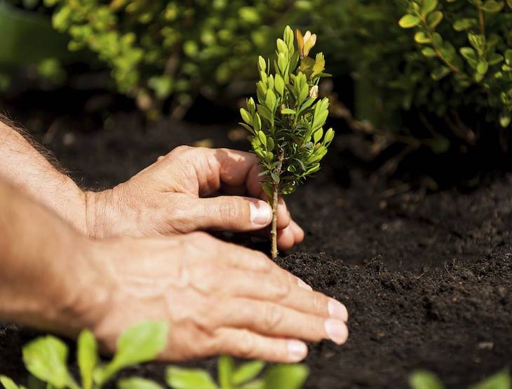 México debe transitar a una gobernanza en la que se garantice la seguridad de las personas defensoras del medio ambiente