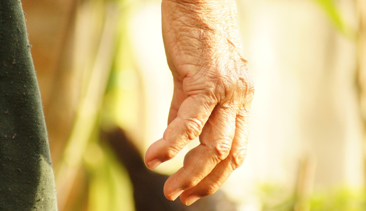 Por una políticas para apoyar al ‘CAMPESINO’