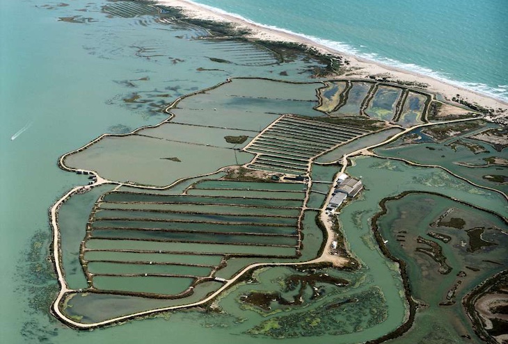 El Ministerio de Agricultura